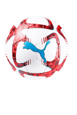 Puma Future Flash 5 Numara Futbol Topu 08304203