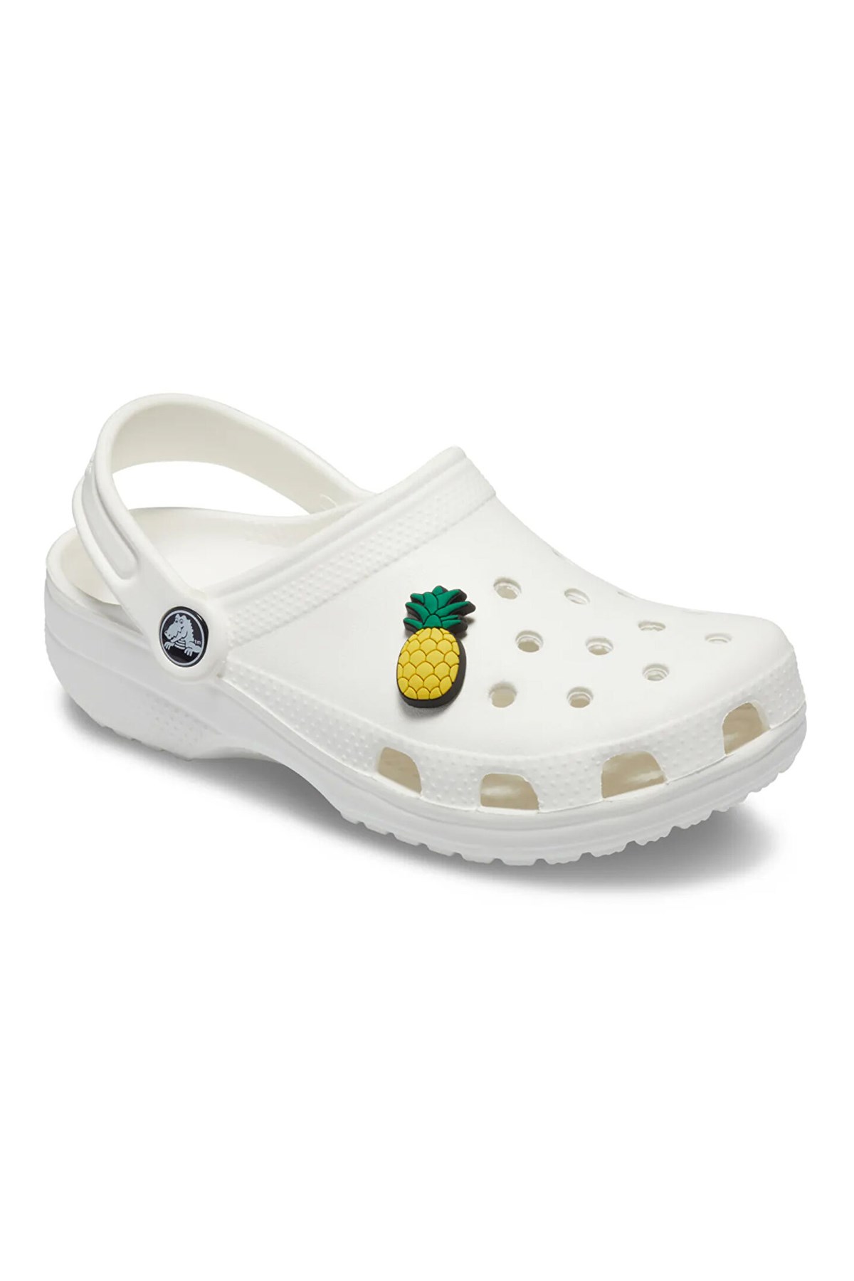 Jibbitz Pineapple Charm 10007217-1 Çok Renkli