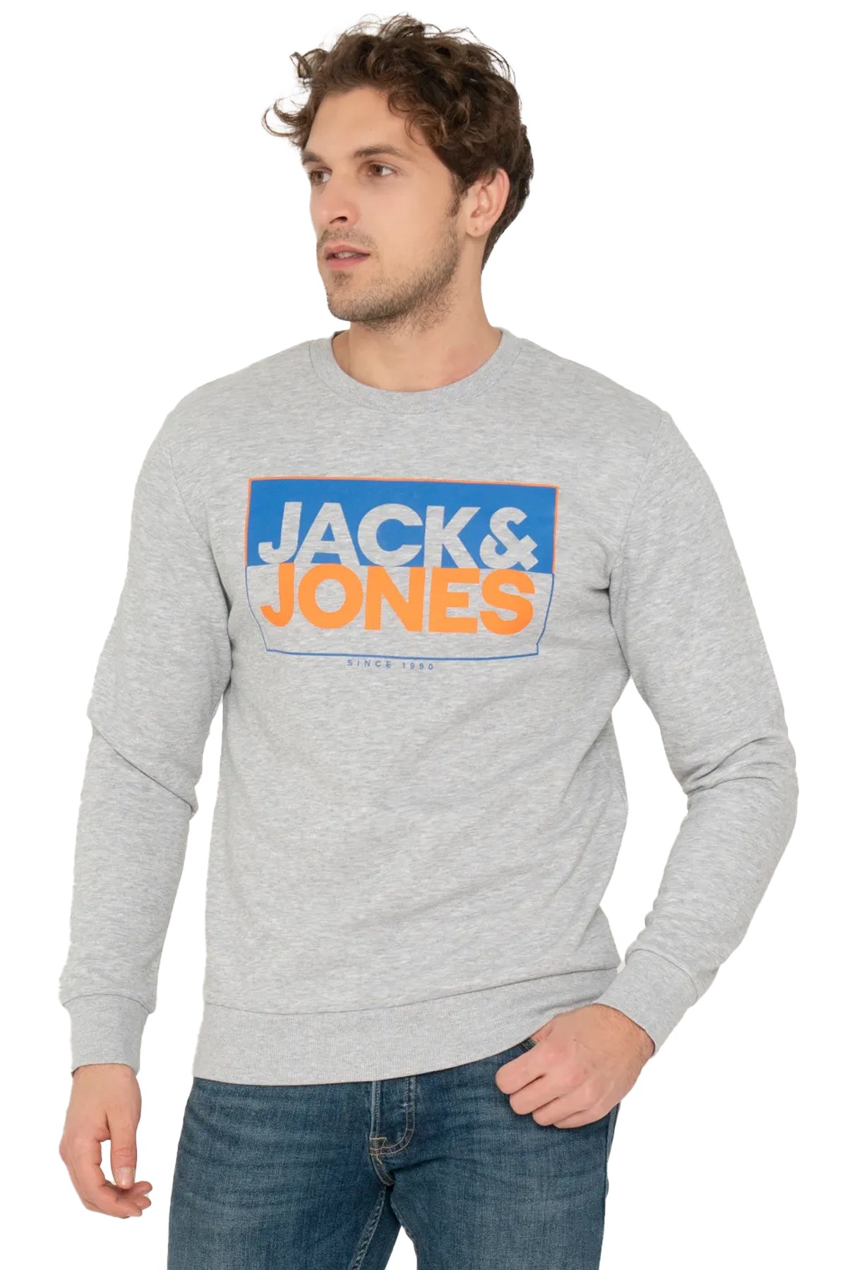 Jack & Jones Erkek Sweatshirts 12248288 Gri