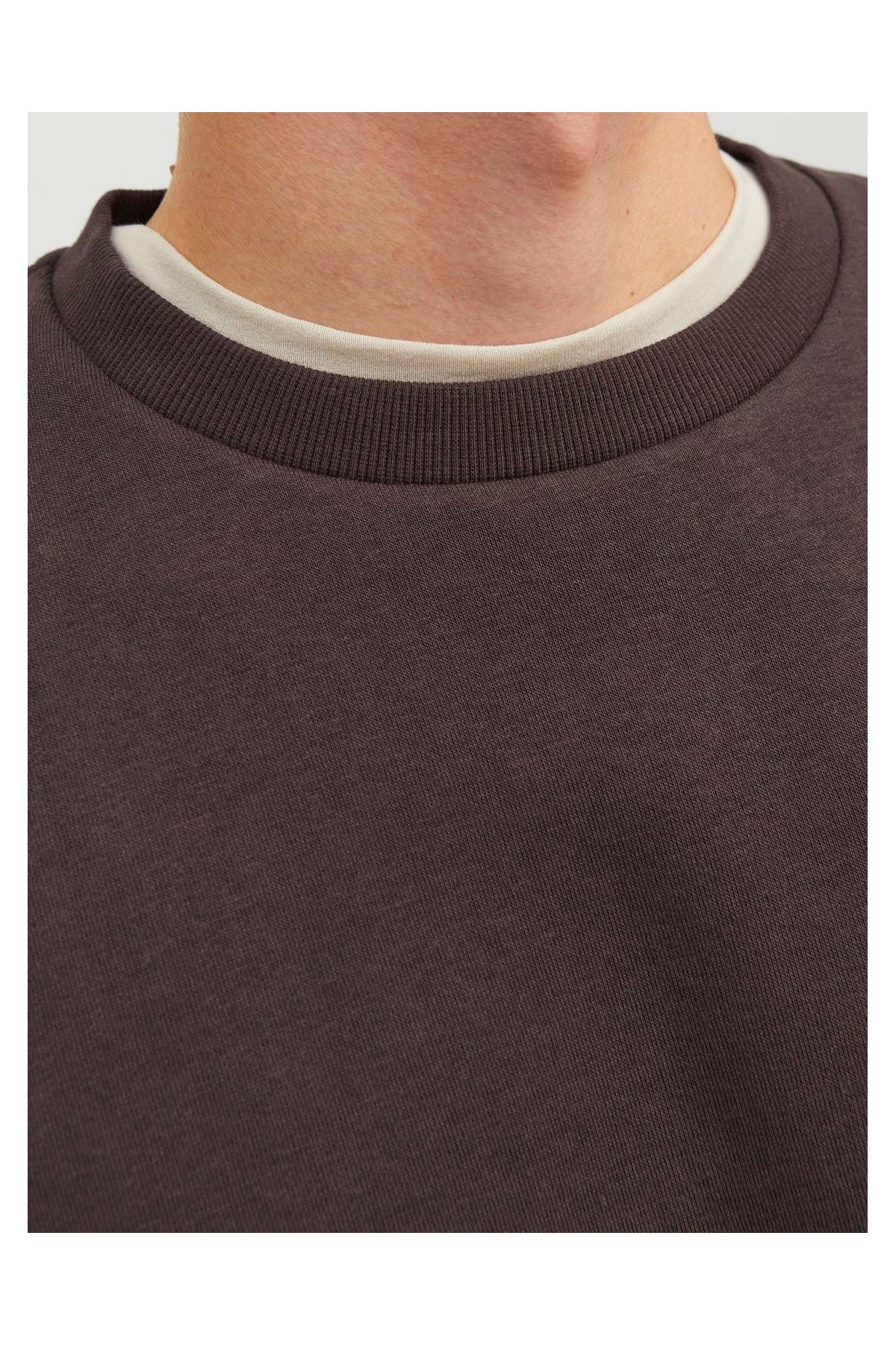 Jack & Jones Jjebradley Erkek Sweatshirt 12249341 Kahverengi