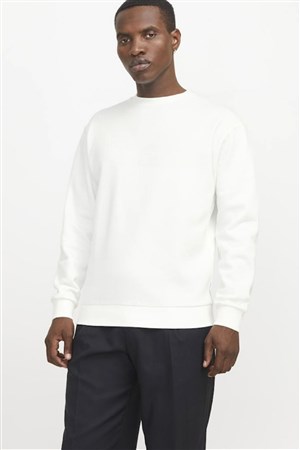 Jack & Jones Jjebradley Erkek Sweatshirt 12249341