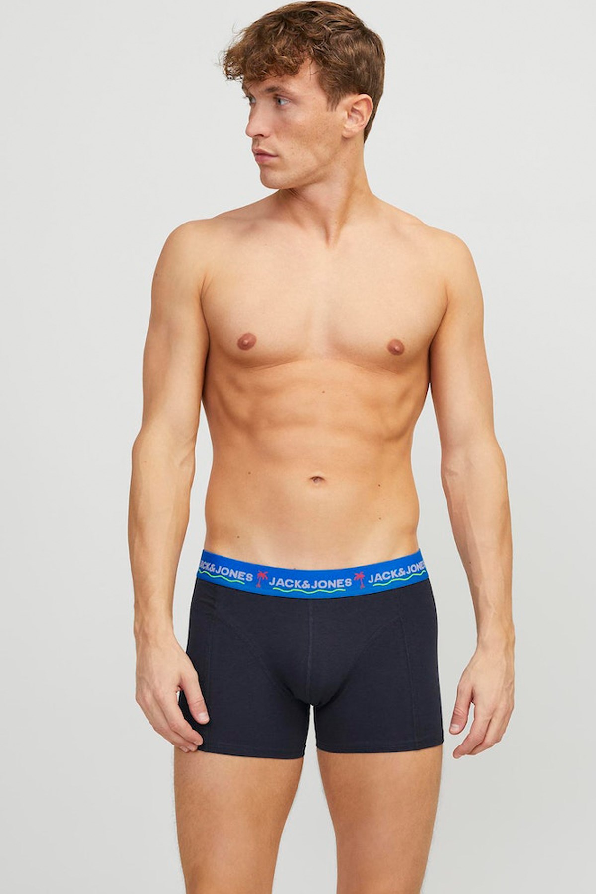 Jack & Jones Erkek Boxer 12250609 Lacivert