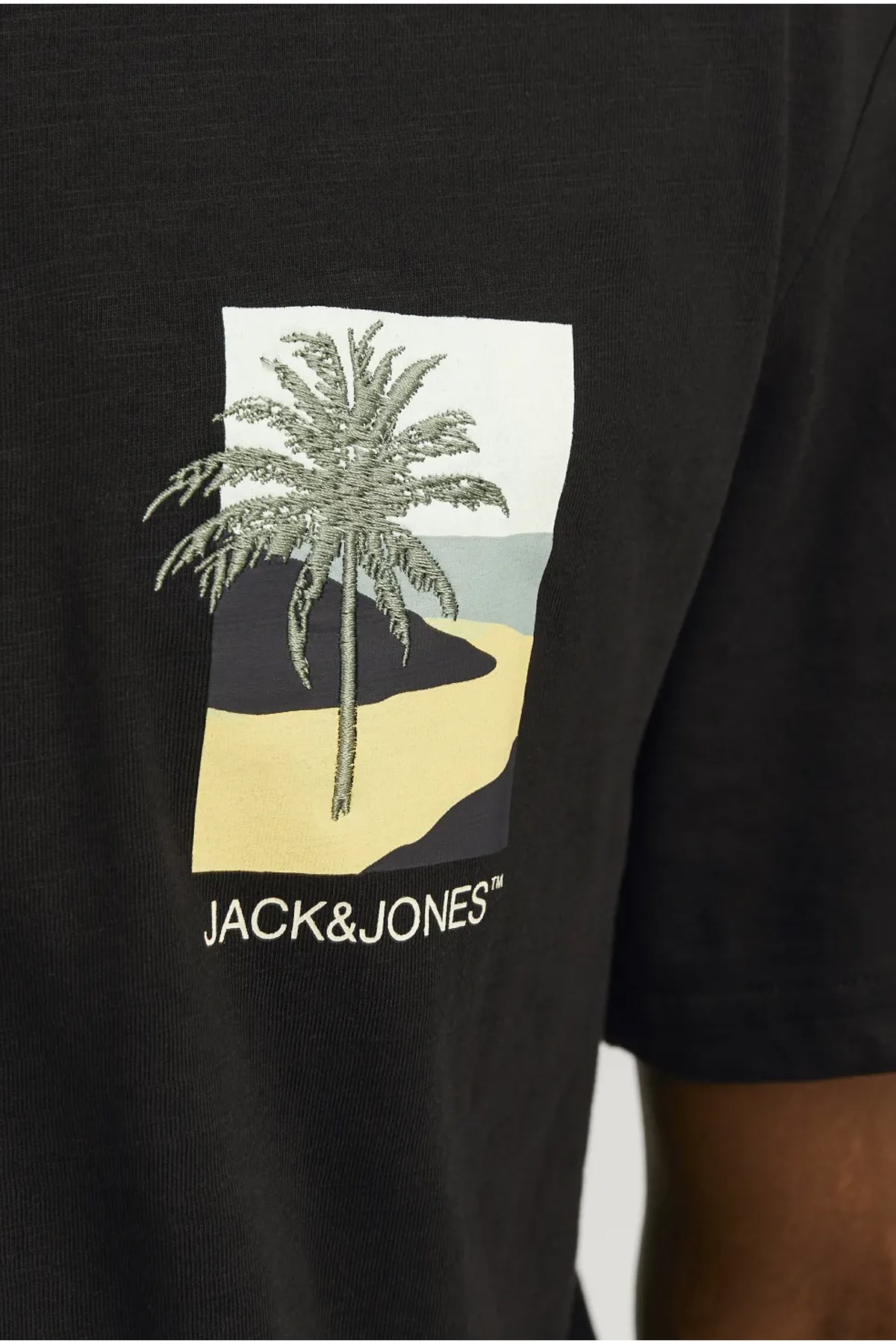 Jack & Jones Erkek Tişört 12256215 Siyah
