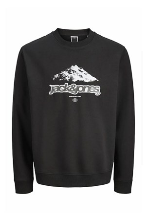 Jack & Jones Jcoflare Erkek Sweatshirt
