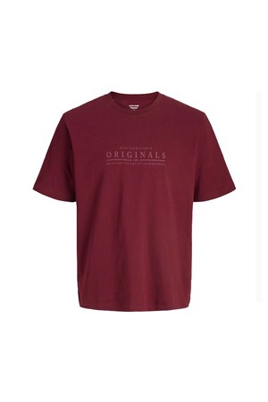 Jack & Jones Jorcatskills Erkek Tişört 12290315