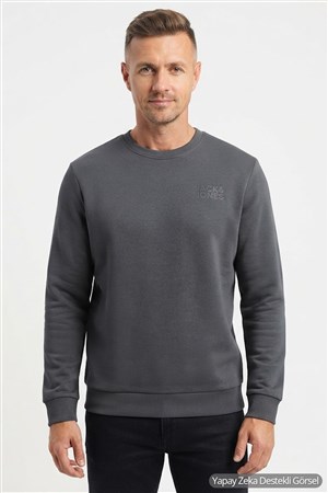 Jack& Jones Jorlogo Erkek Sweatshirt 12290659