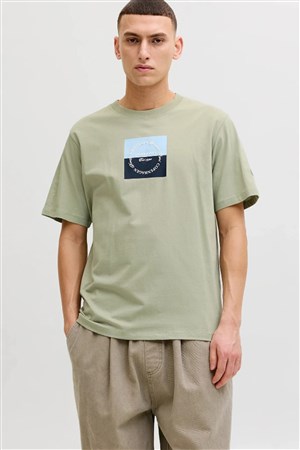 Jack & Jones Jorcatskills Erkek Tişört 12290856