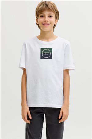 Jack& Jones Jorcatskills Çocuk Tişört 12293109