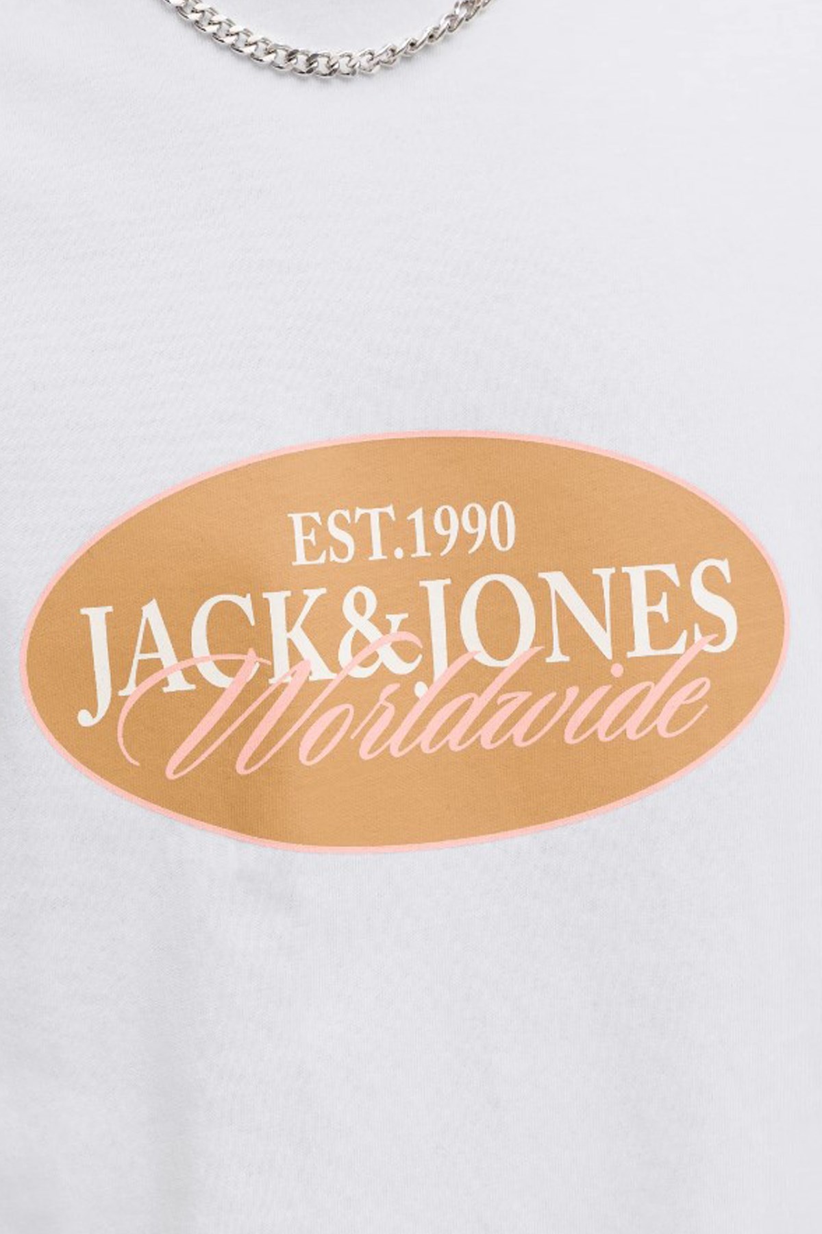 Jack & Jones Jorcatskills Erkek Tişört 12297891 Beyaz