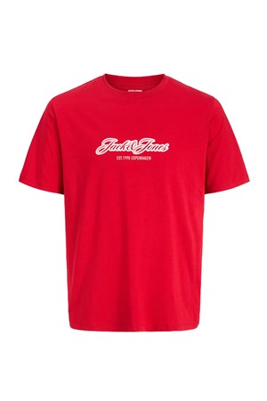 Jack & Jones Jorcatskills Çocuk Tişört 12298348