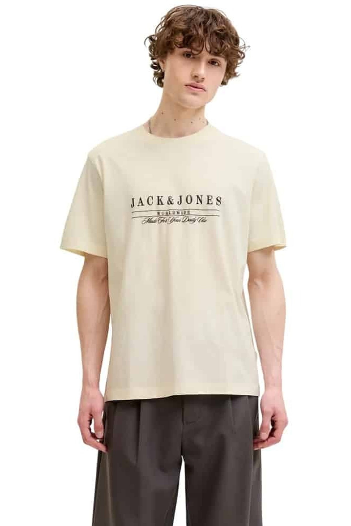 Jack & Jones Jorsavona Erkek Tişört 12310071 Bej