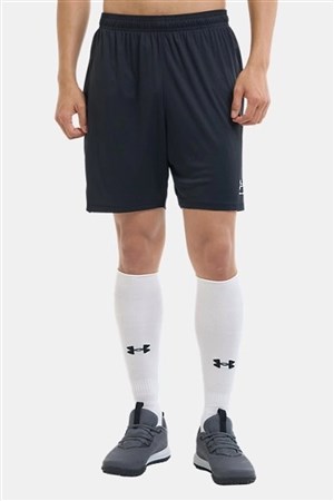 Under Armour UA Challenger Train Erkek Şort