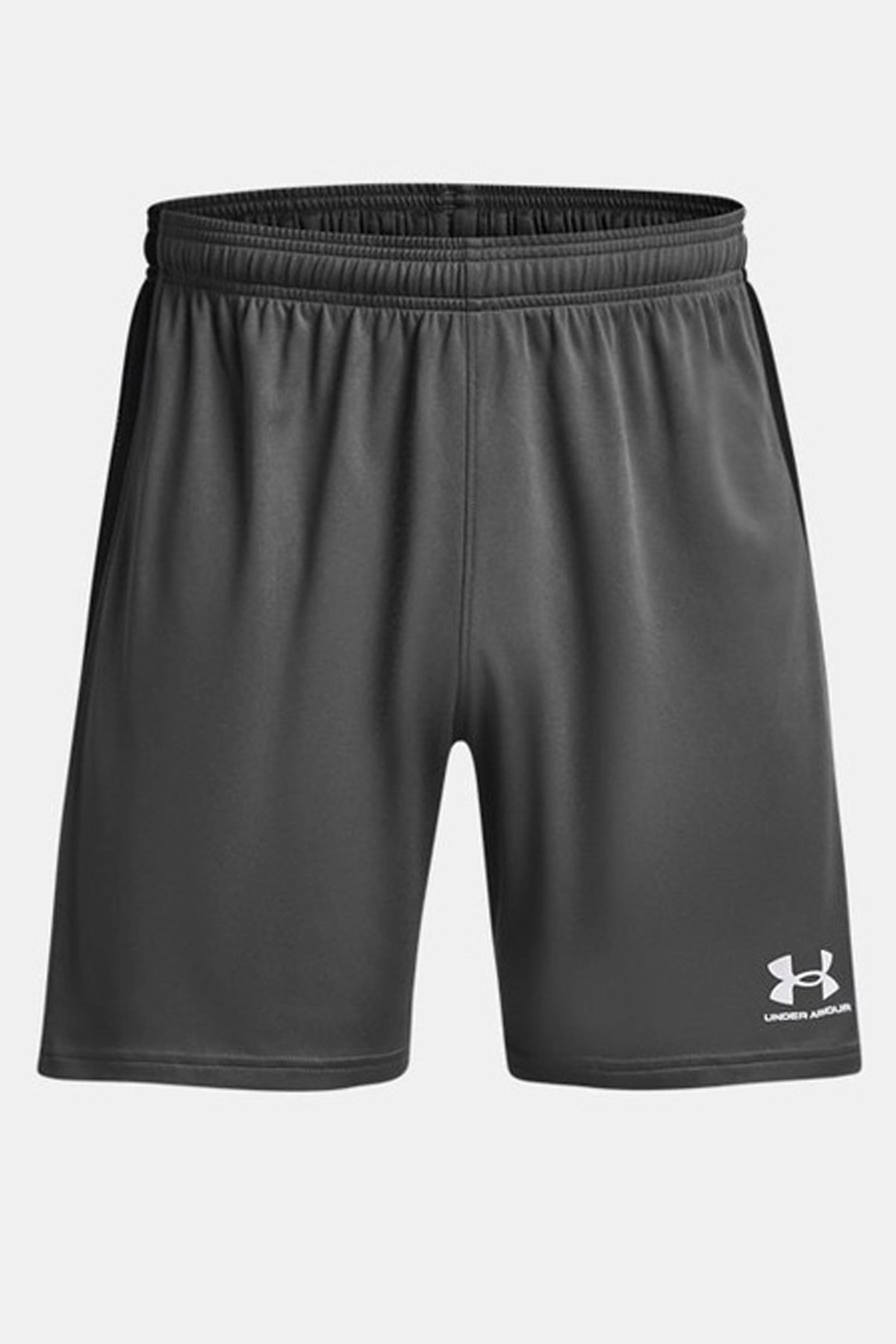 Under Armour UA Challenger Train Erkek Şort Gri