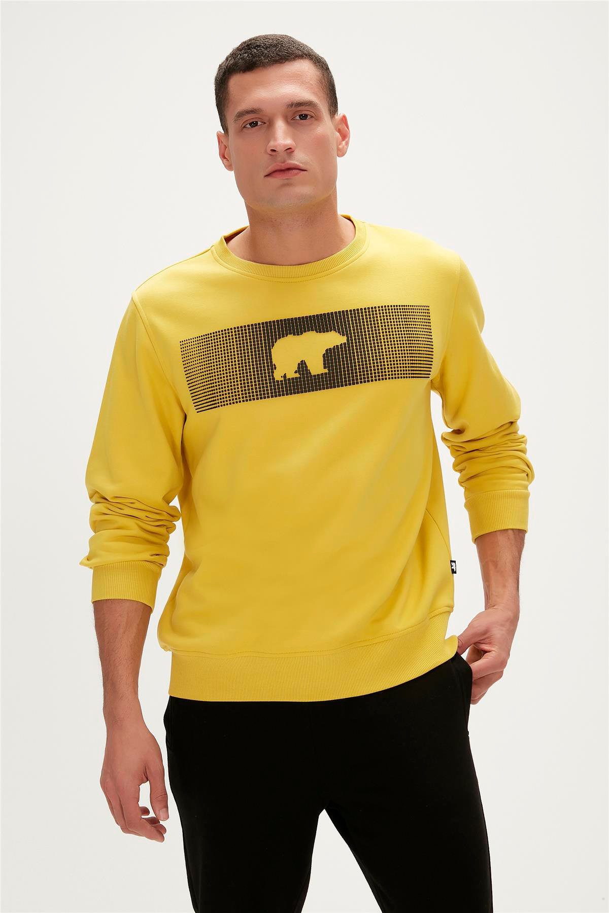 Bad Bear Erkek Sweatshirt  19.02.12.007-C119 Kahverengi
