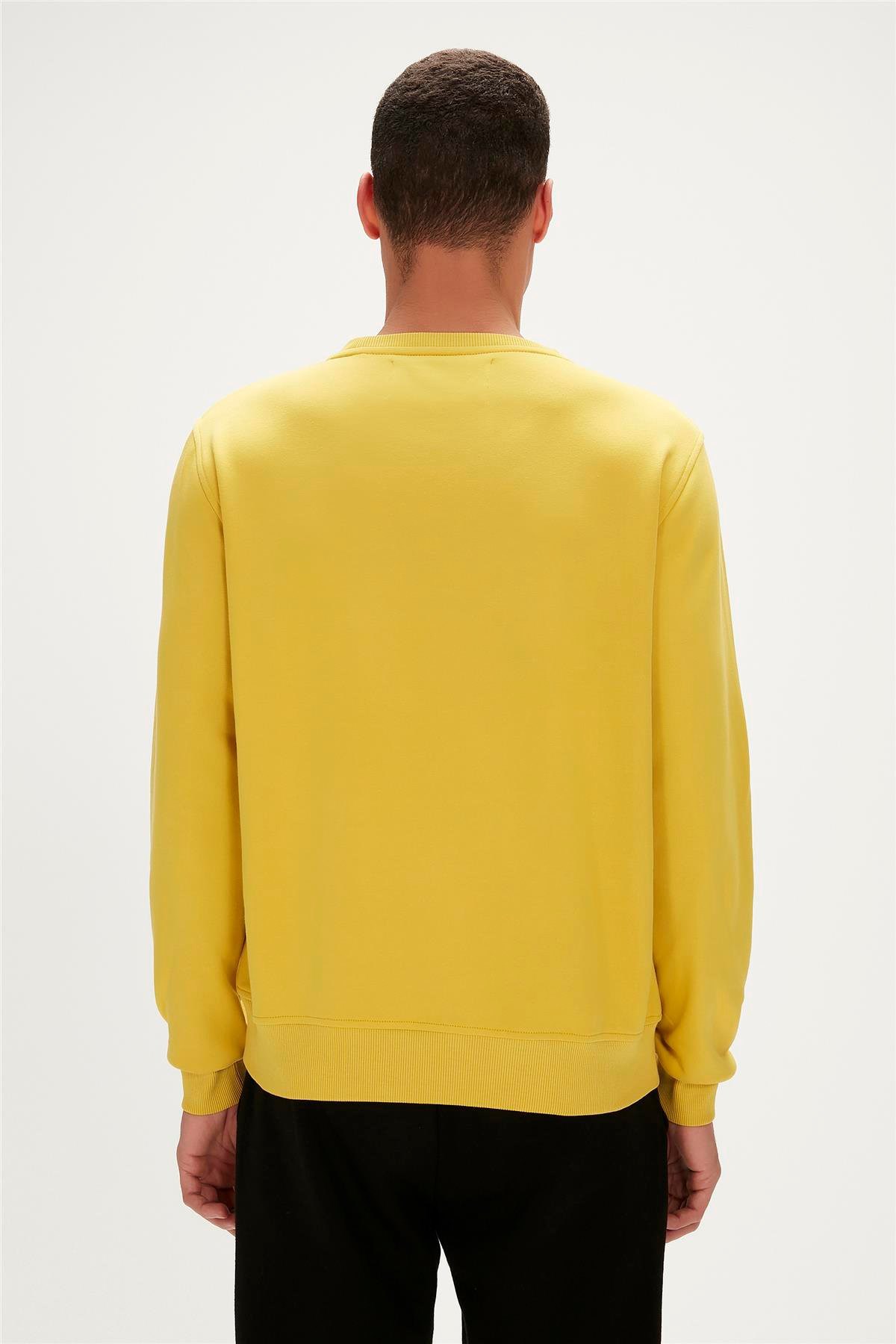 Bad Bear Erkek Sweatshirt  19.02.12.007-C119 Kahverengi