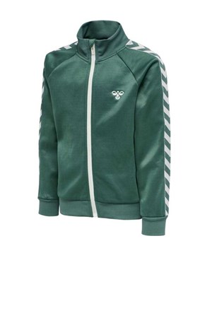 Hummel Kick Zip Çocuk Sweatshirt 202883-6145