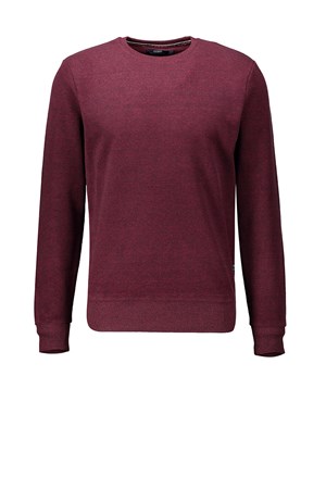 Cazador Erkek Sweatshirt 20KCEEO05001