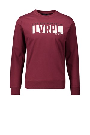 Cazador Erkek Sweatshirt 20KCEEO05071