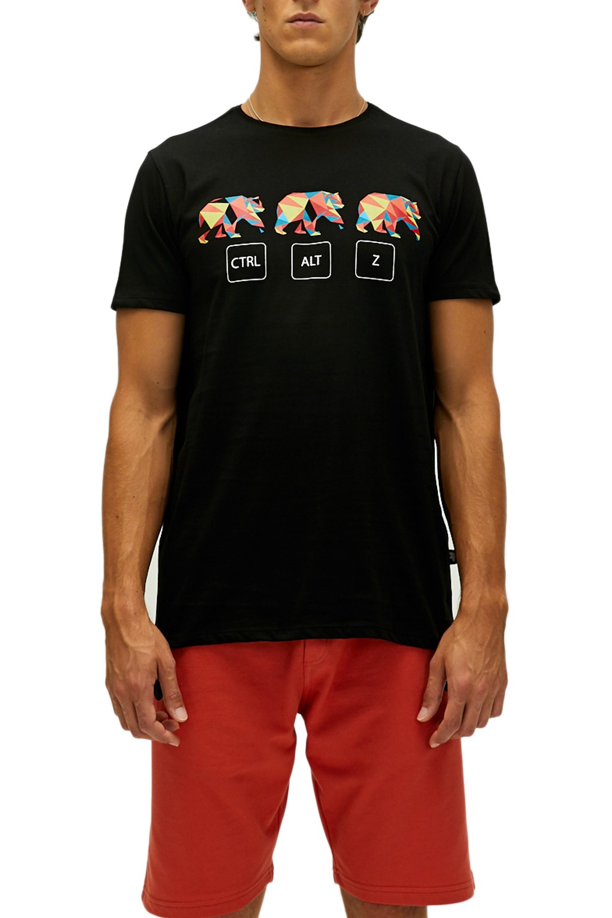 Bad Bear Ctrl-Alt-Z Erkek Tişört 22.01.07.038 Siyah