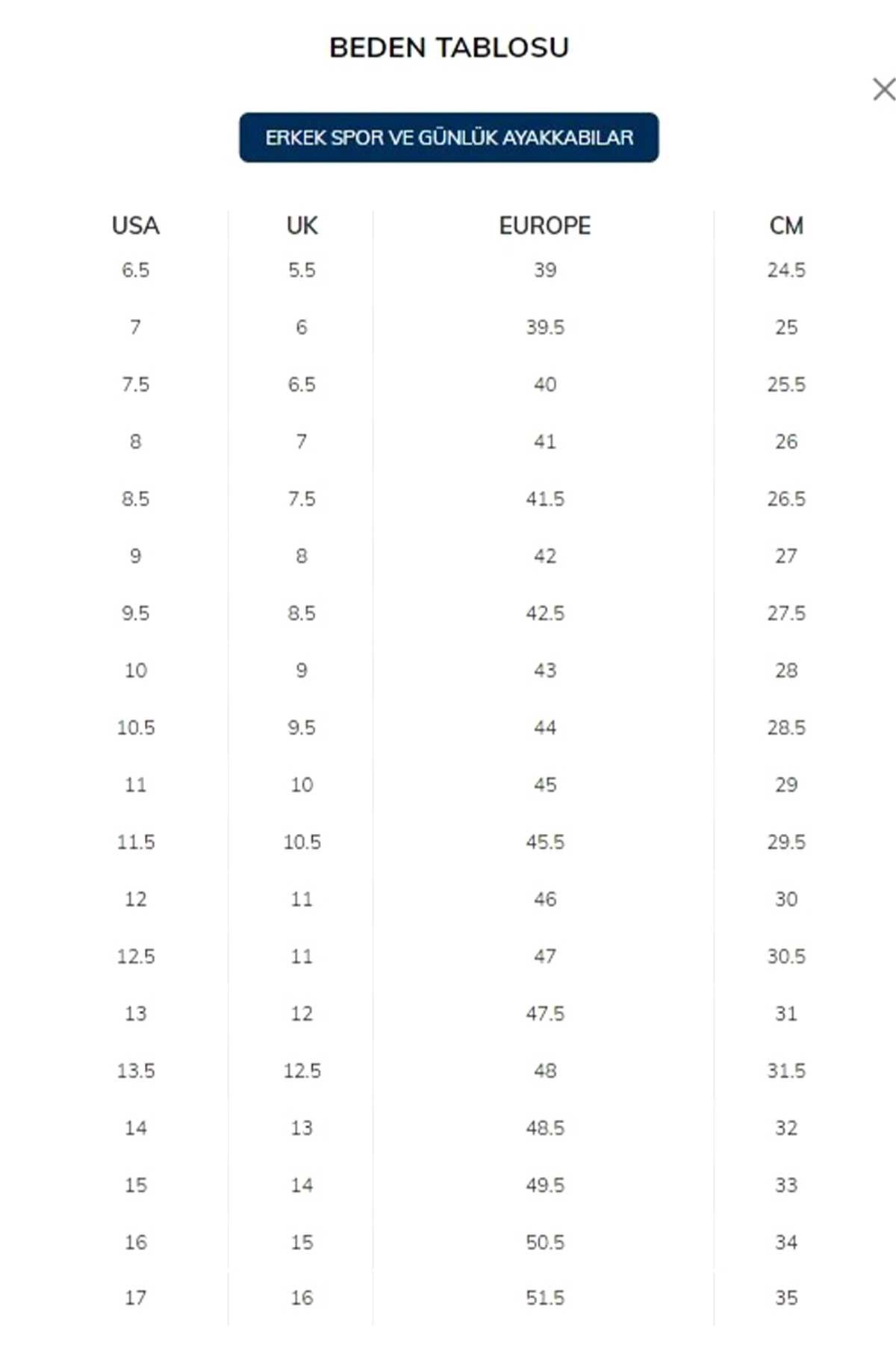 Skechers Go Run Consistent 2.0 Yürüyüş Ayakkabı Gri