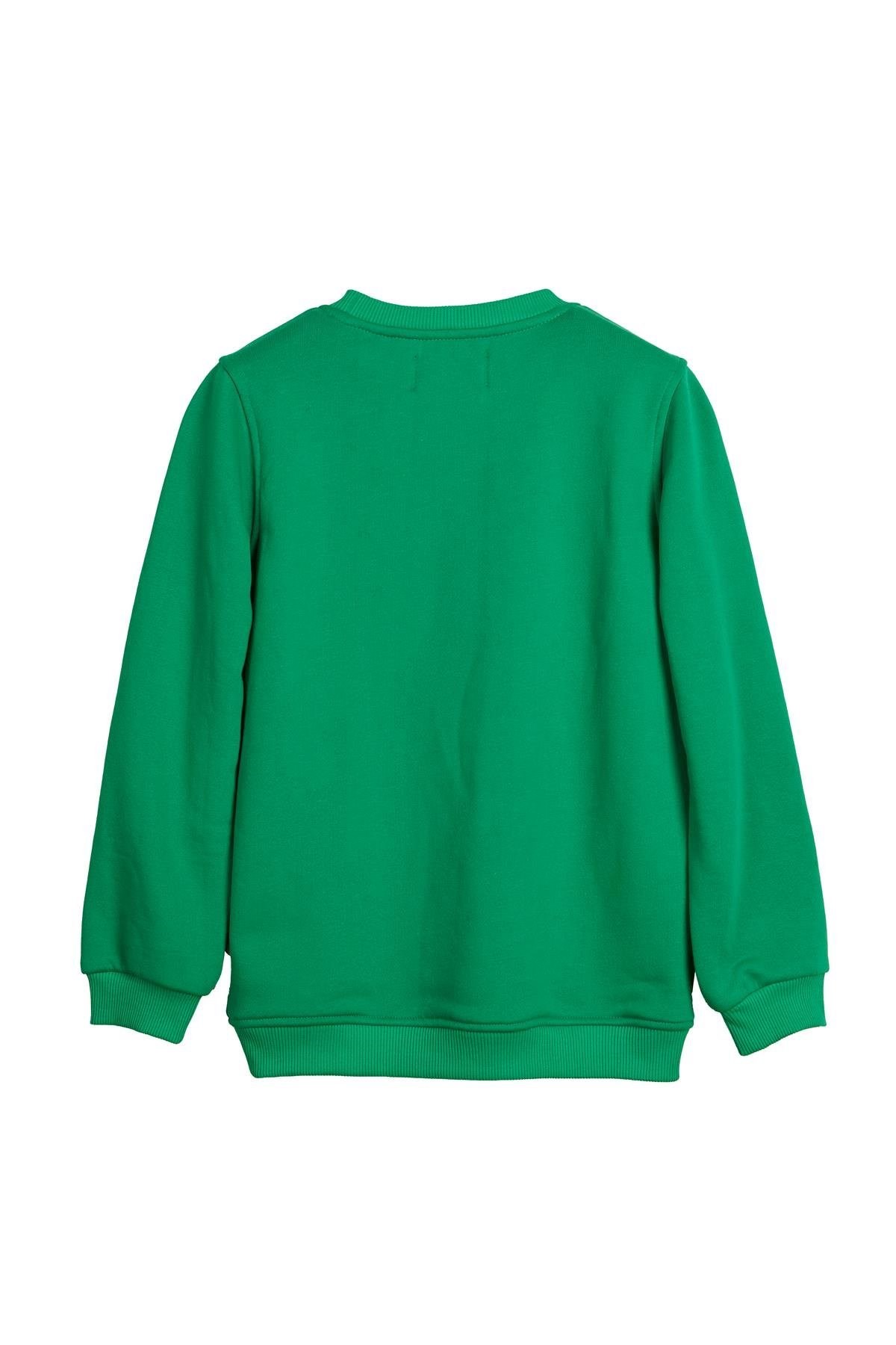 Bad Bear Hued Sweatshirt 24.06.12.005-C13 Yeşil