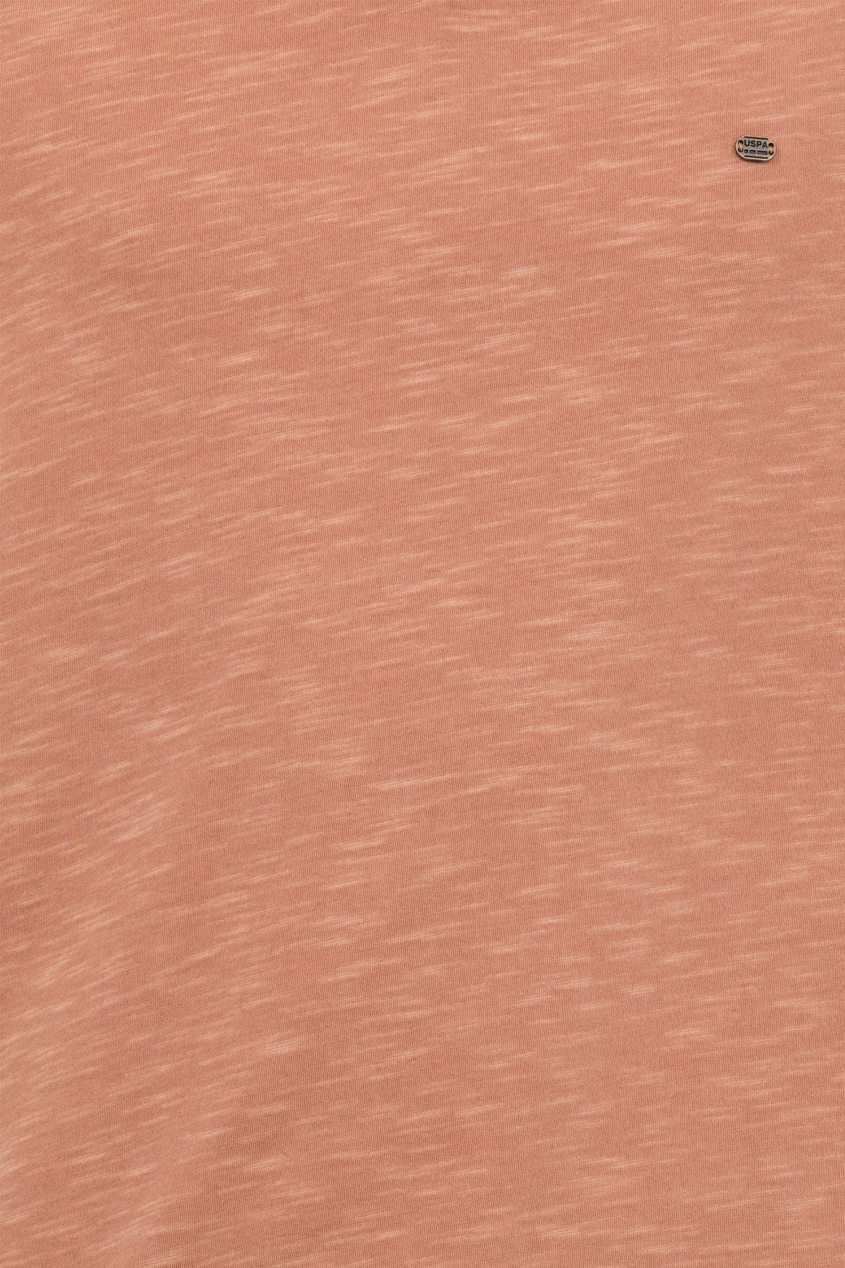 U.S. Polo Assn. Erkek Tişört 50263474-VR042 Pembe