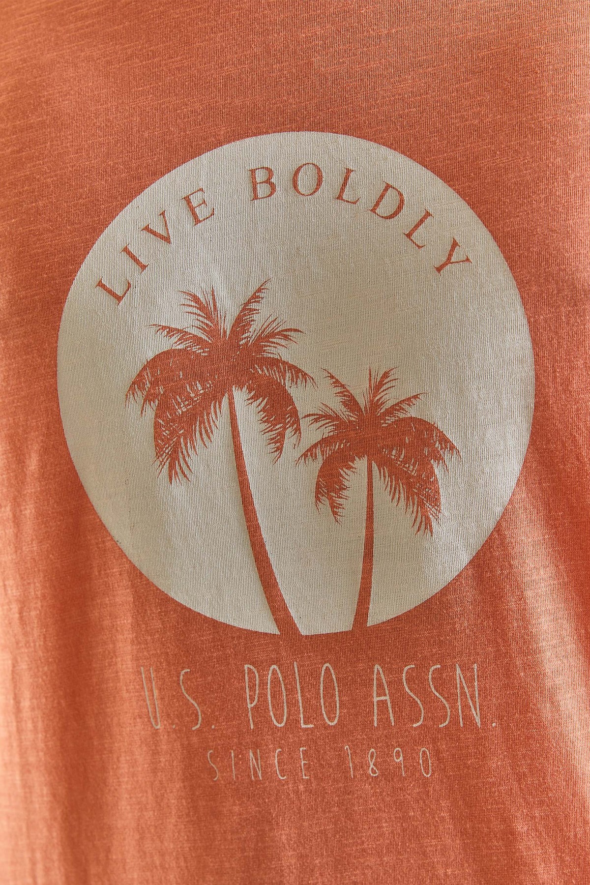 U.S. Polo Assn. Erkek Tişört 50281049-VR047 Sarı