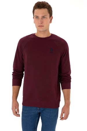 U.S. Polo Assn. Erkek Sweatshirt 50308103-VR177