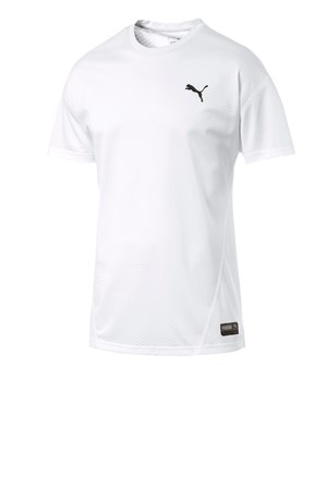 Puma A.C.E. Erkek Spor T-Shirt 51664811