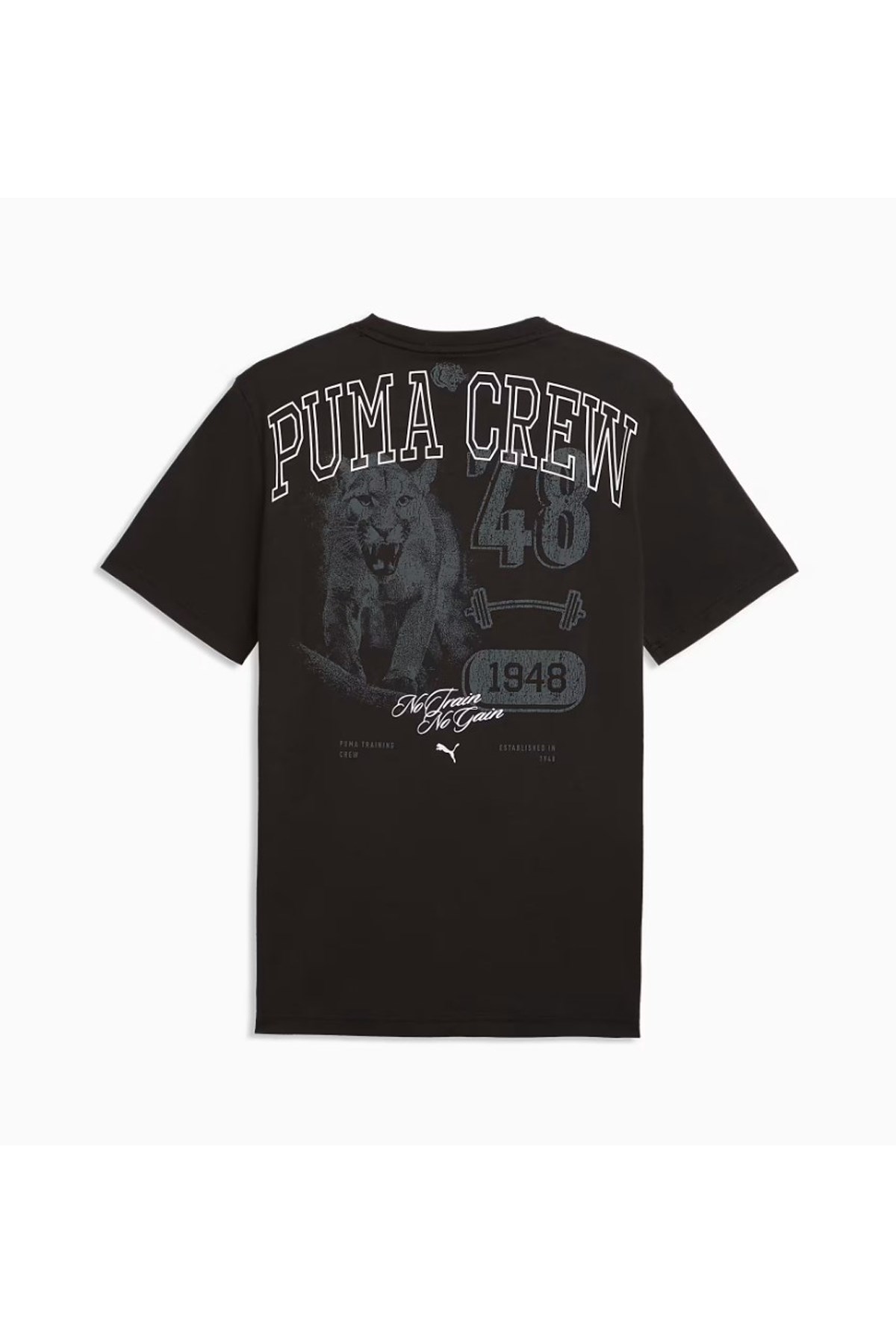 Puma Graphic Erkek Tişört 52853001 Siyah
