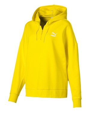 Puma XTG Halfzip Hoody Kadın Kapüşonlu Sweatshirt 57801936