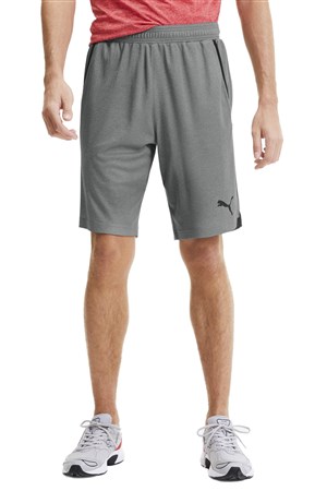 Puma Rtg Interlock Erkek Şort 58151103