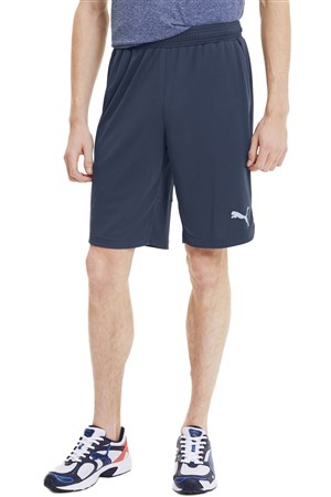 Puma Rtg Interlock Erkek Şort 58151143