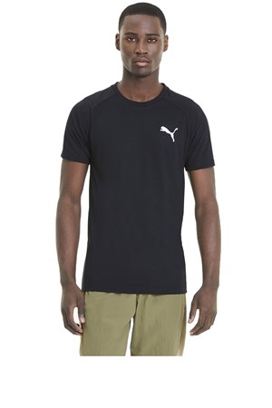 Puma Evostripe Lite Erkek Tişört 58153401