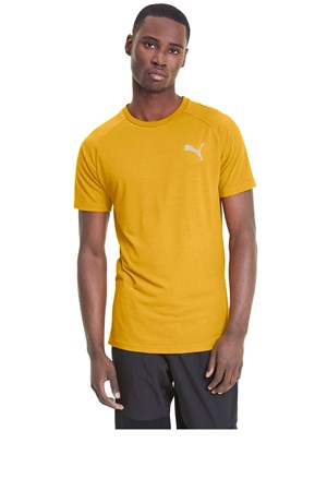 Puma Evostripe Lite Erkek Tişört 58153425