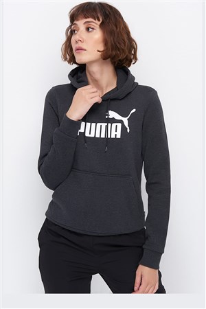 Puma Ess Logo Kadın Kapüşonlu Sweatshirt 58328207