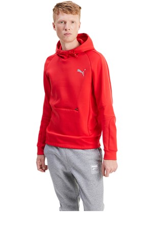Puma Evostripe Erkek Sweat 58346511