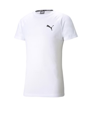 Puma RTG Erkek Tişört 58582702