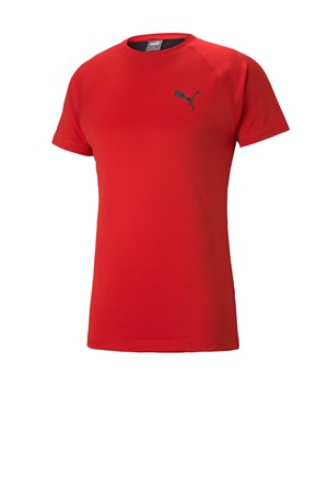 Puma RTG Erkek Tişört 58582711
