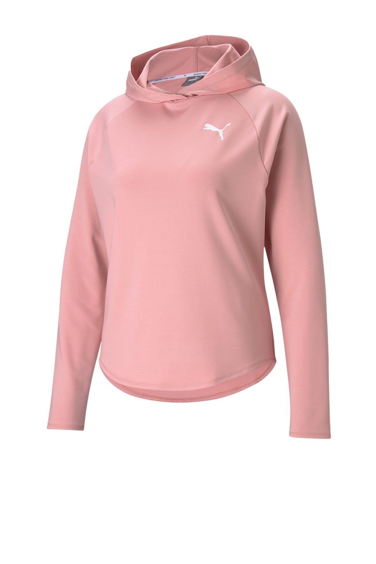 Puma Active Kadın Sweatshirt 58685880 Pembe