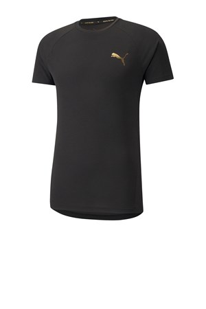 Puma Evostripe Erkek Tişört 58941751