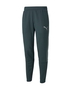 Puma Evostripe Warm Erkek Eşofman Alt 58944280