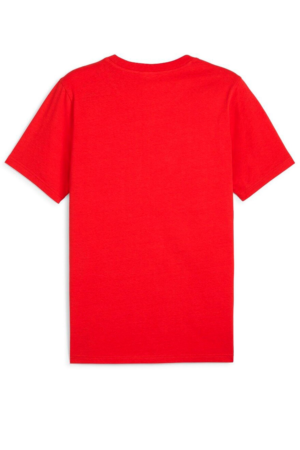 Puma The Hooper Erkek Tişört 62482702 Kırmızı