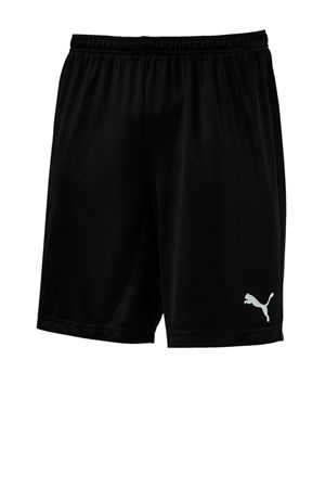 Puma ftblPLAY Erkek Spor Şort 65593101
