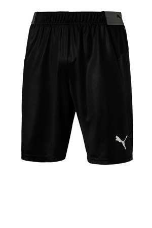 Puma ftblNXT Erkek Spor Şort 65615901