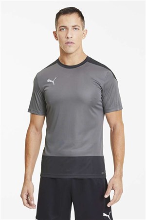 Puma Teamgoal 23 Training Jersey Erkek Tişört 65648213 Gri