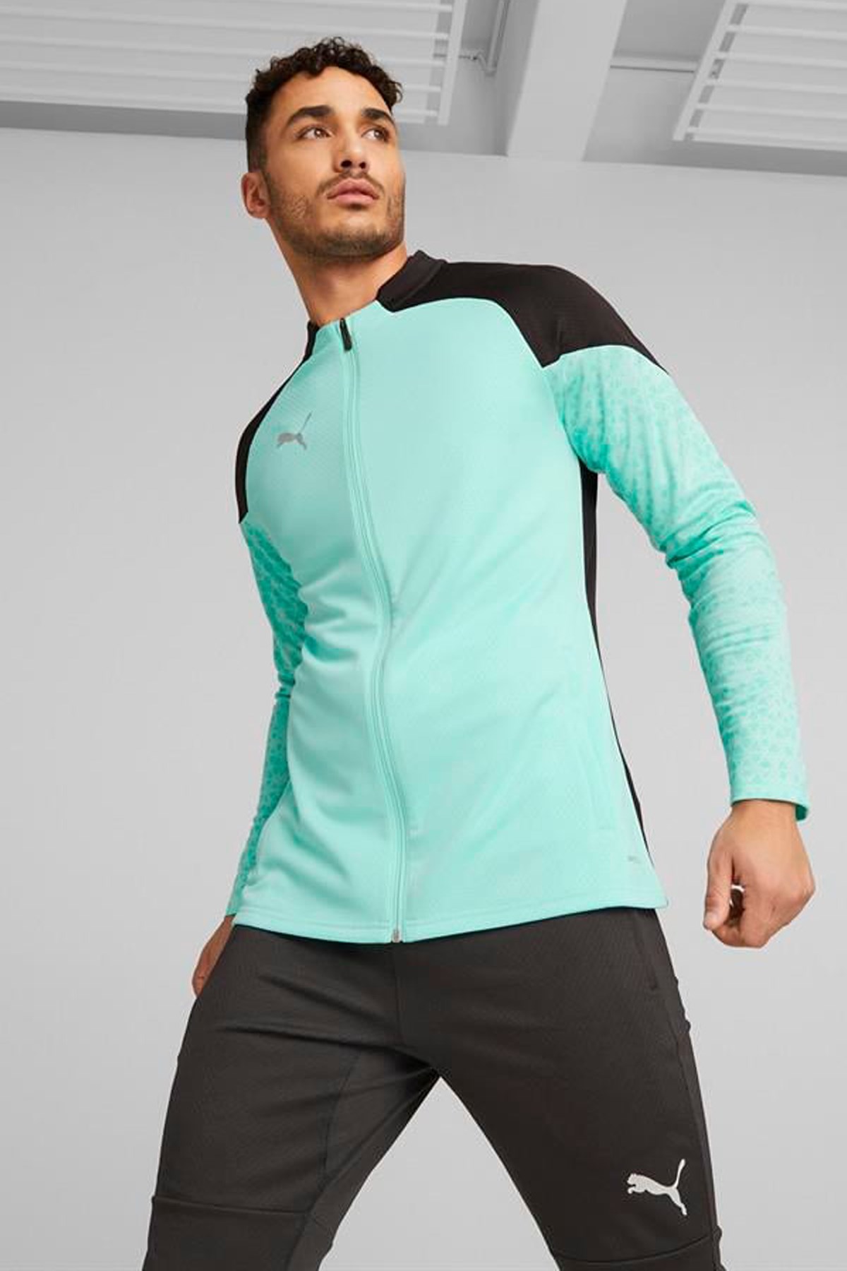 Puma Team Cup Erkek Antreman Sweat 65798325 Yeşil