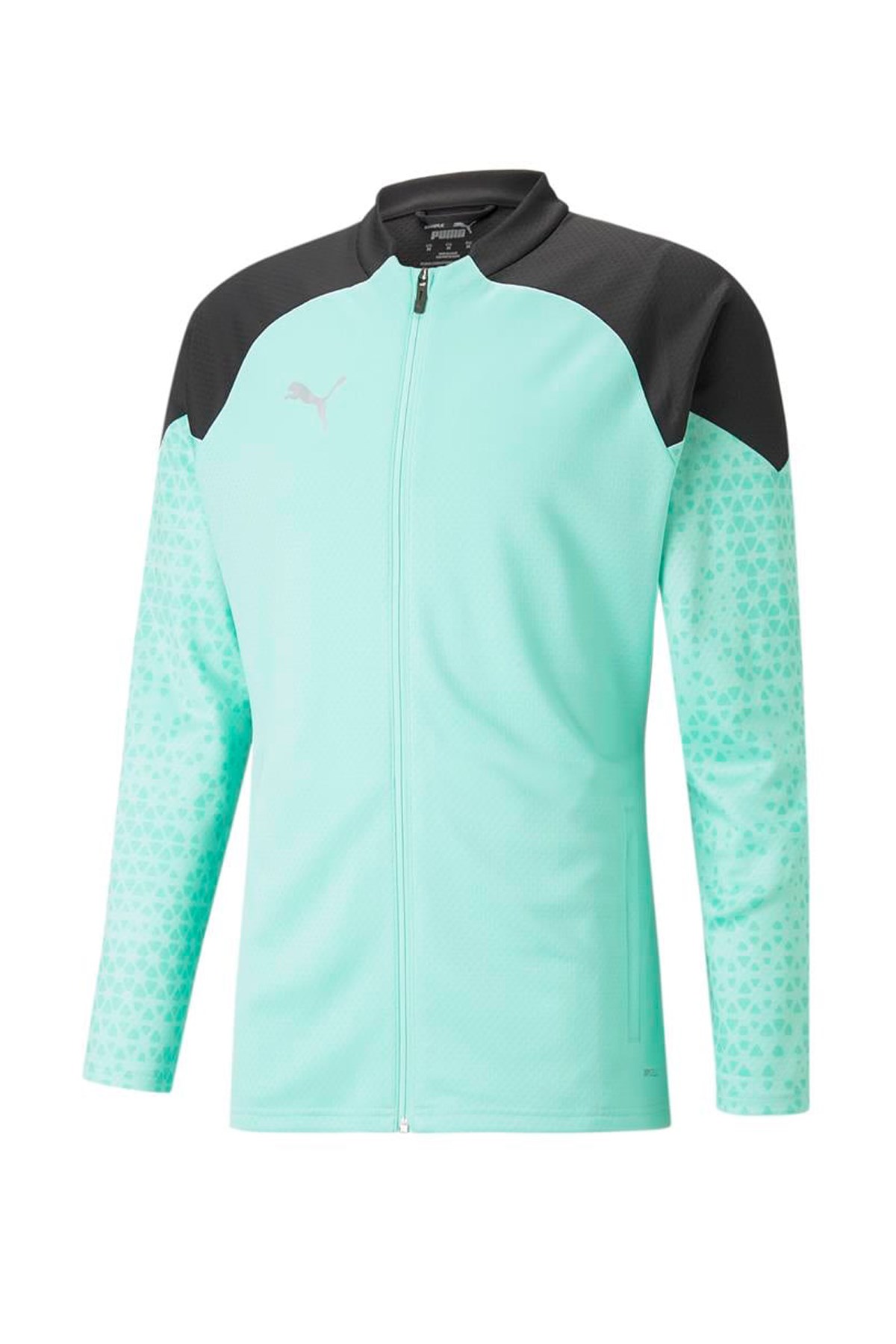 Puma Team Cup Erkek Antreman Sweat 65798325 Yeşil