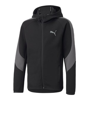 Puma Evostripe Full-Zip Çocuk Sweatshirt 67006801