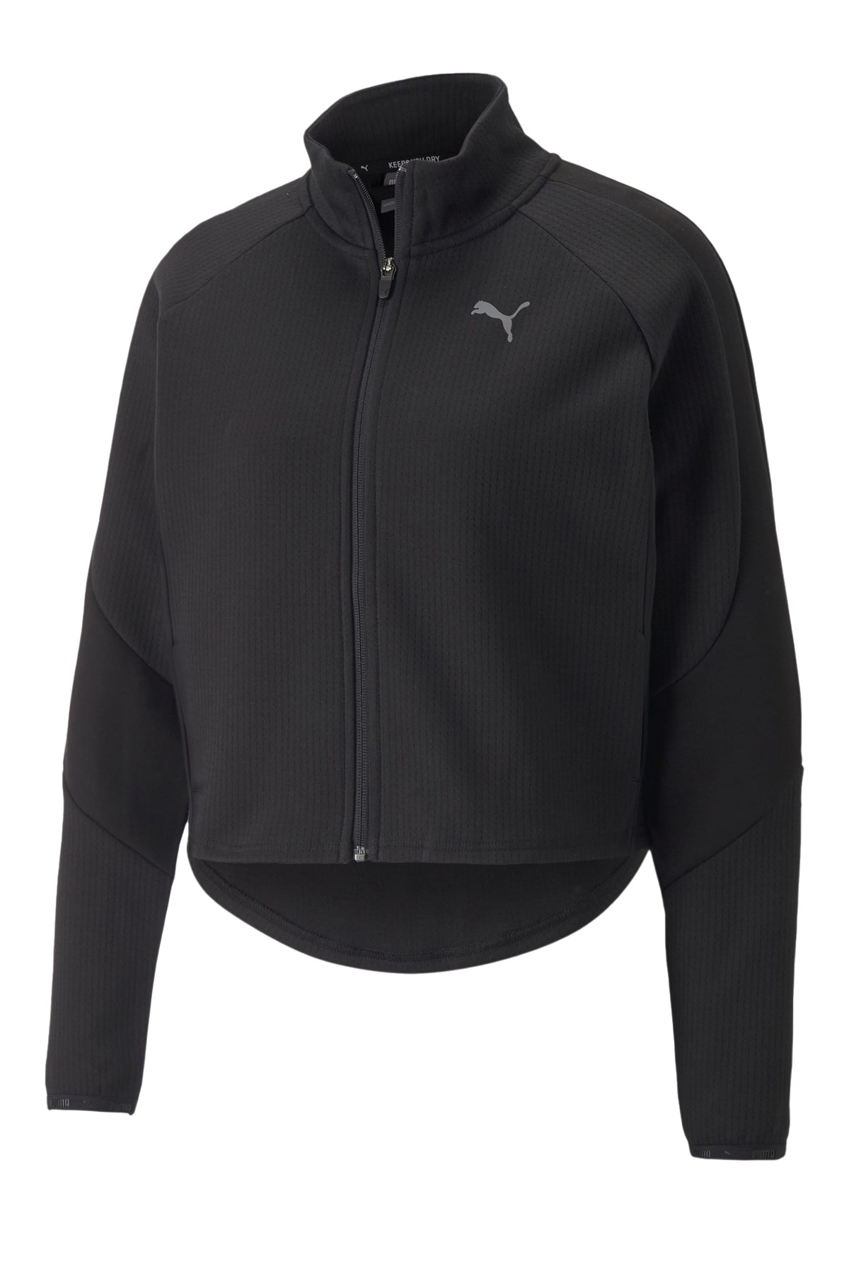 Puma Evostripe Track Kadın Sweatshirt 67077401 Siyah
